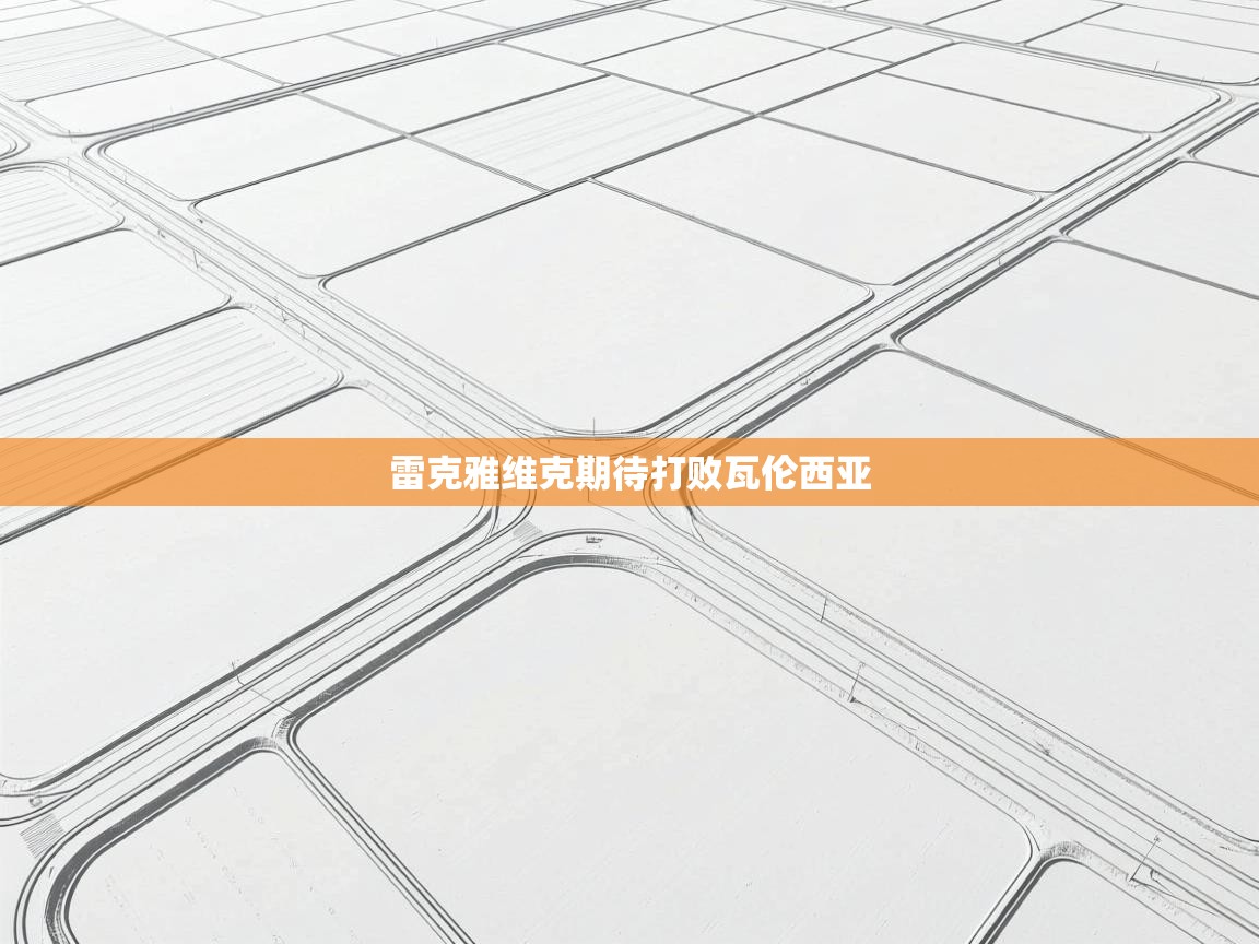 雷克雅维克期待打败瓦伦西亚  第1张