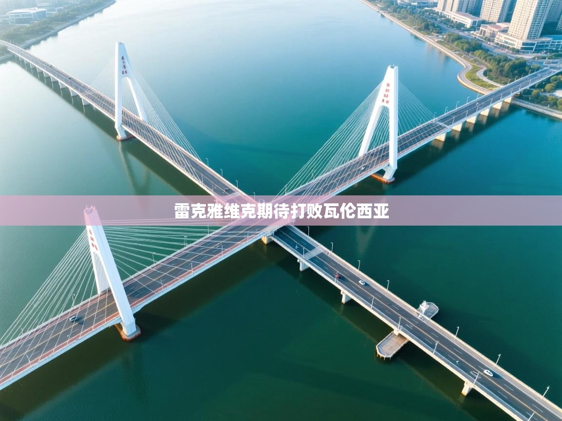 雷克雅维克期待打败瓦伦西亚  第2张