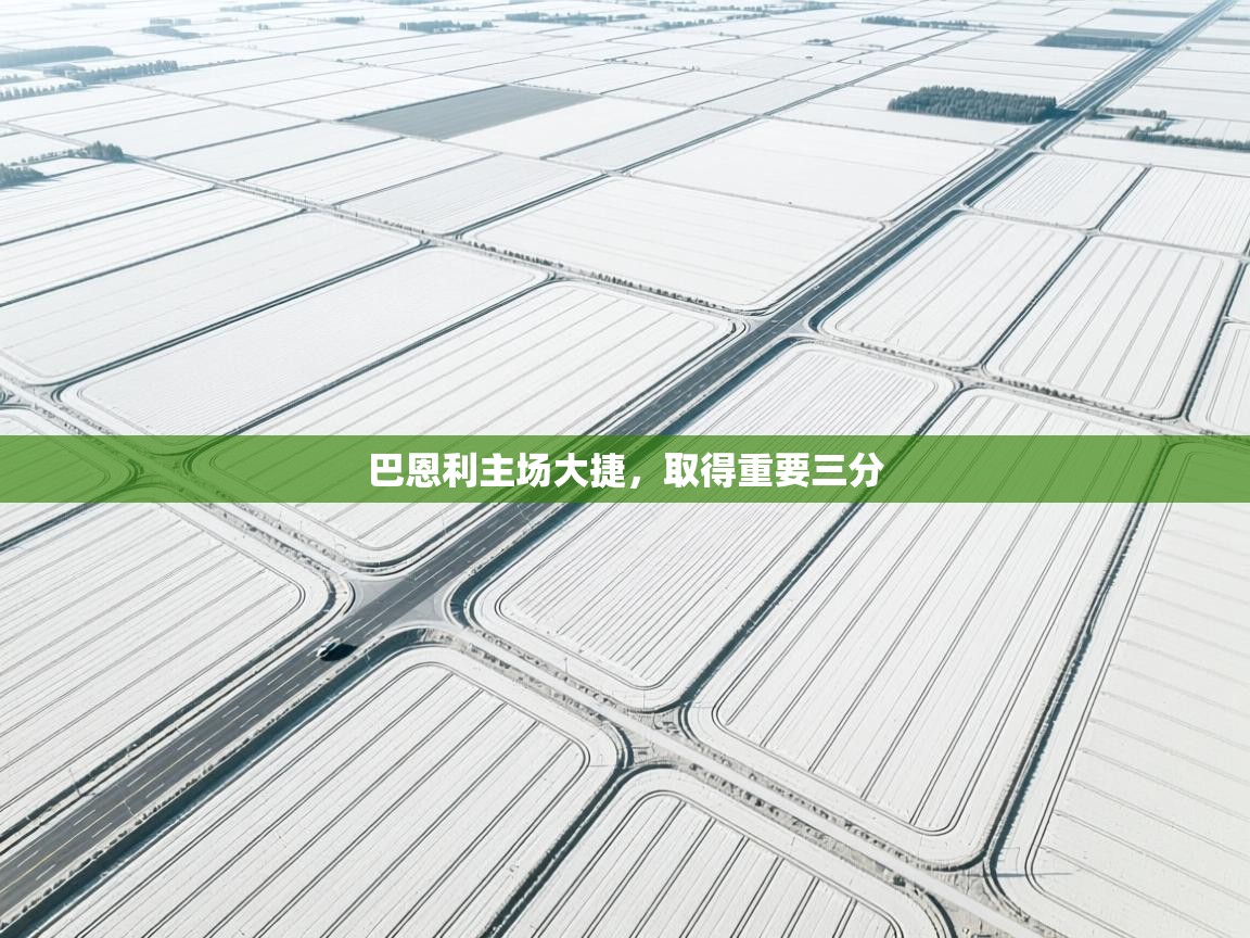 巴恩利主场大捷,取得重要三分 第2张